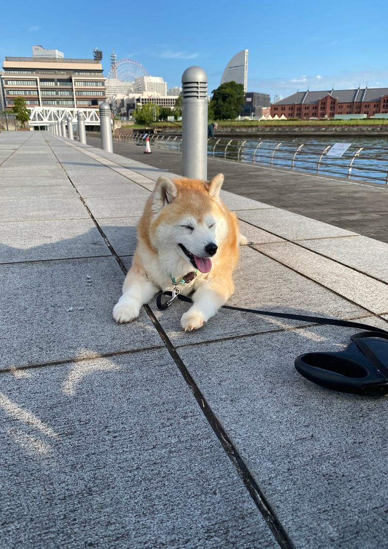 Bachで音楽会を開催します