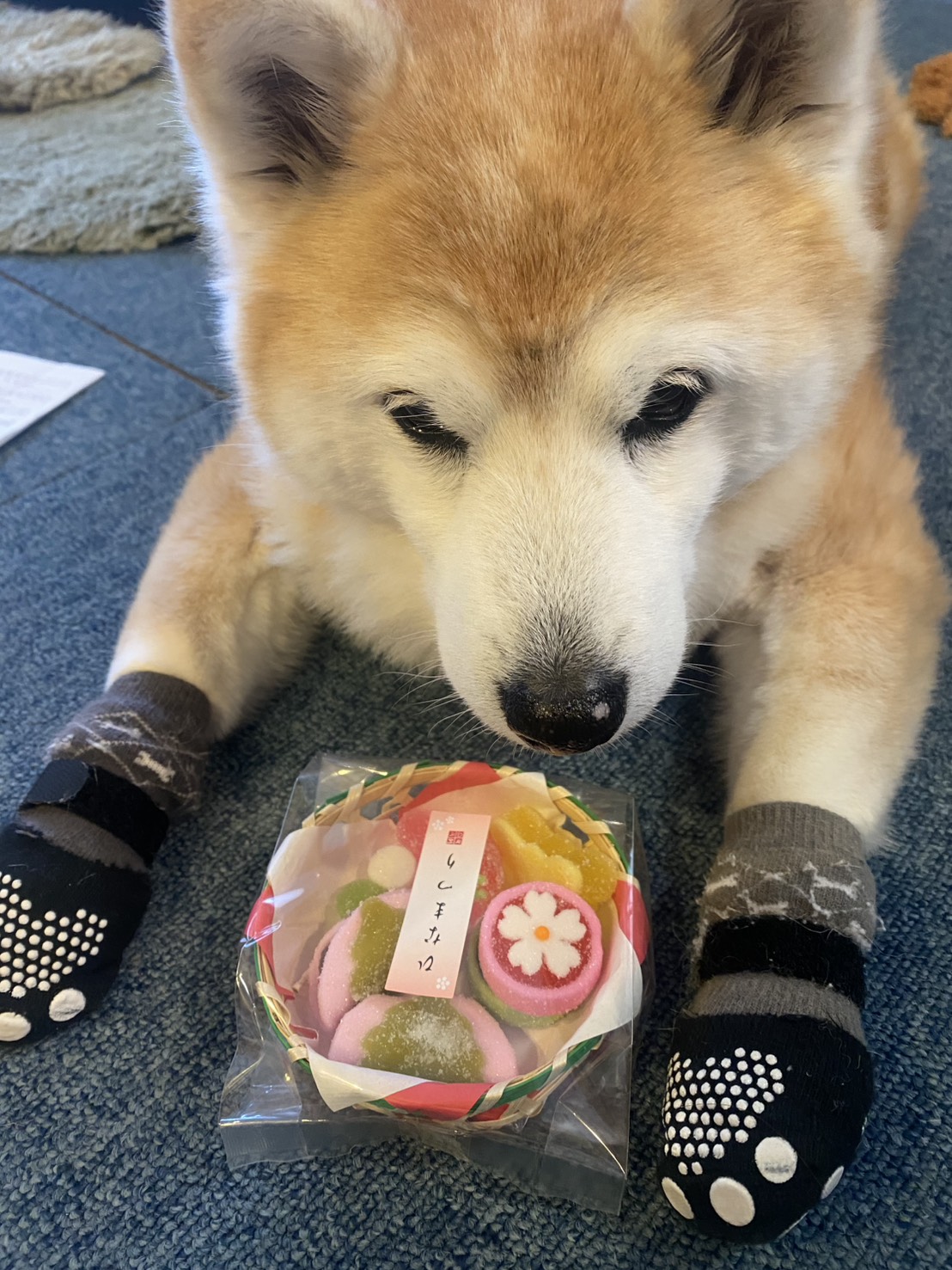 認知症の母は手芸好き